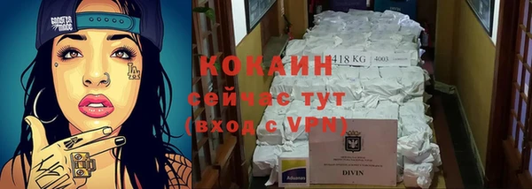 прущие грибы Мегион