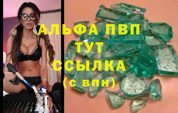 прущие грибы Майский