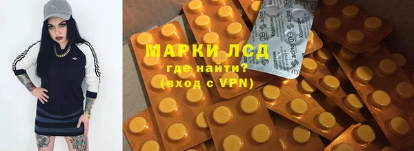 прущие грибы Майский