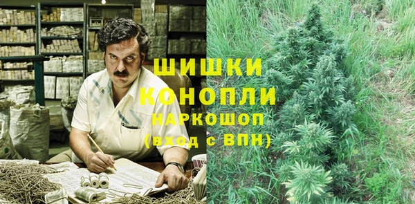 прущие грибы Майский