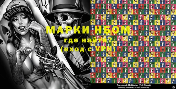 прущие грибы Мегион
