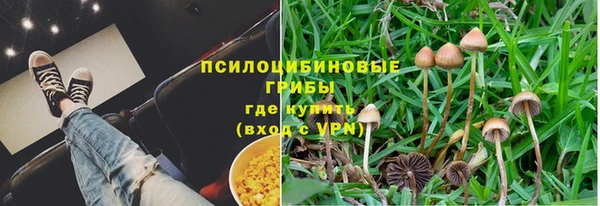 прущие крисы Магадан