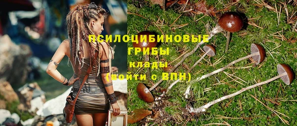 прущие крисы Магадан