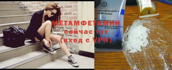 прущие грибы Мегион