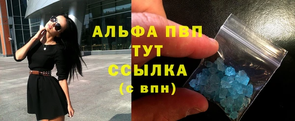 прущие грибы Майский