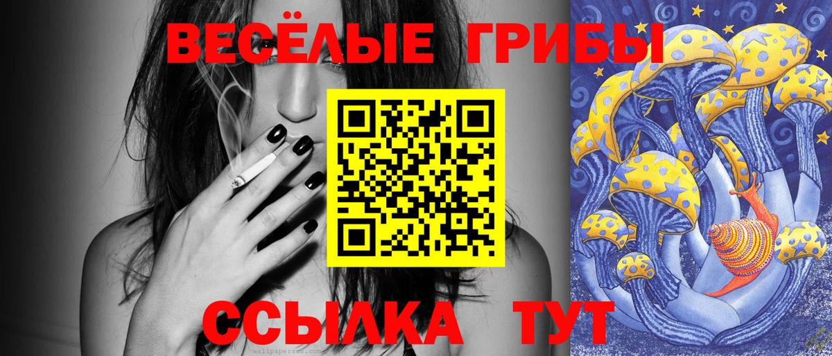 Галлюциногенные грибы Cubensis  Нижнеудинск  Псилоцибиновые грибы Psilocybine cubensis 