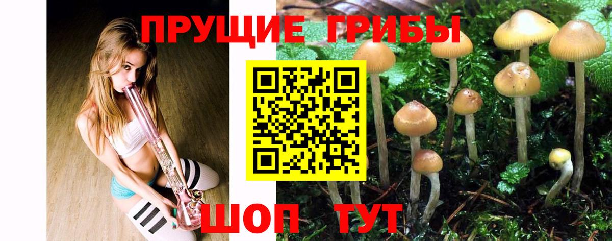 Псилоцибиновые грибы MAGIC MUSHROOMS Нижнеудинск